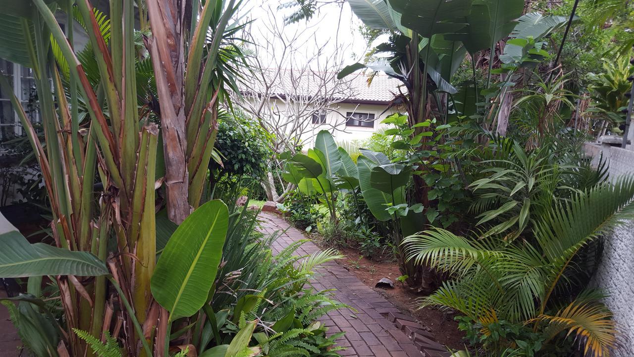 Old N New Bed & Breakfast Umhlanga Rocks Екстериор снимка
